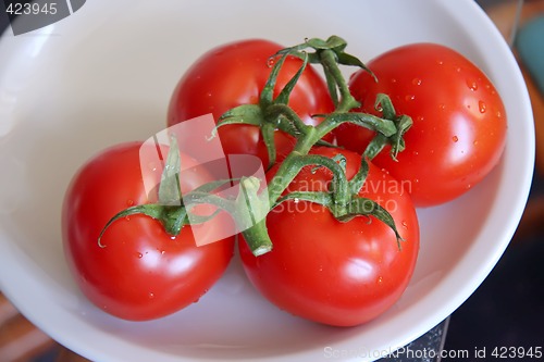 Image of Red tomatoes