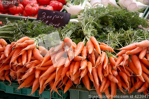 Image of Fresh carrots