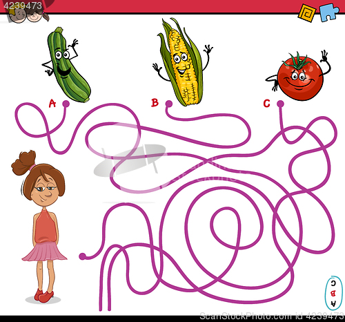 Image of path maze activity task