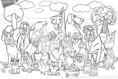 Image of purebred dogs coloring book