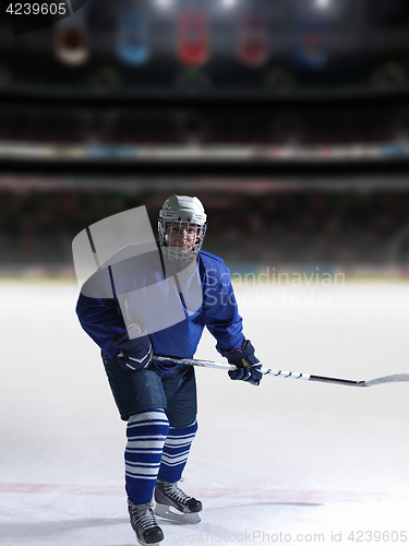 Image of ice hockey player in action