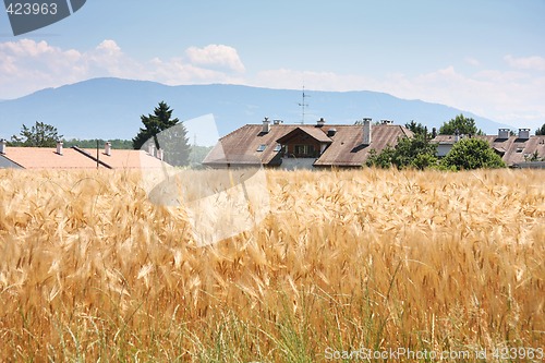 Image of Rural countryside