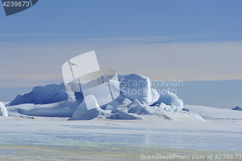 Image of Beautiful view of icebergs in Snow Hill Antarctica