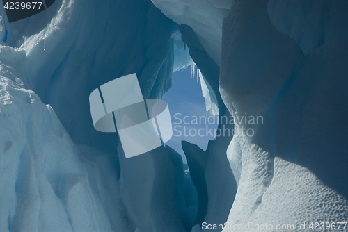 Image of Beautiful view of icebergs in Antarctica