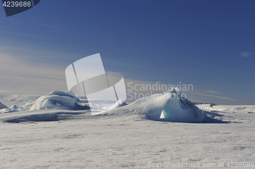 Image of Beautiful view of icebergs in Snow Hill Antarctica