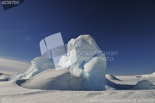 Image of Beautiful view of icebergs in Snow Hill Antarctica