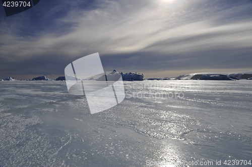 Image of Beautiful view of icebergs in Snow Hill Antarctica