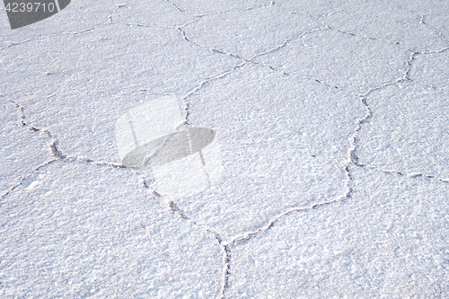 Image of Salar de Uyuni desert, Bolivia