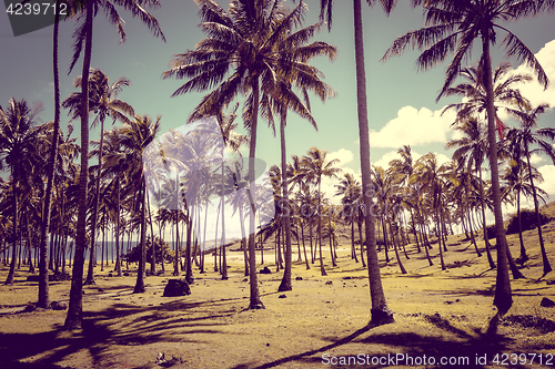 Image of Anakena palm beach and Moais statues site ahu Nao Nao, easter is