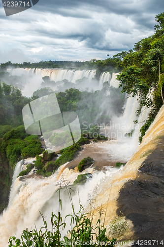 Image of iguazu falls