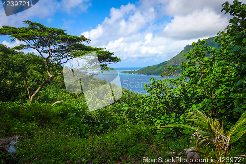 Image of Aerial view of Opunohu Bay and lagoon in Moorea Island