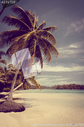 Image of Paradise tropical beach and lagoon in Moorea Island