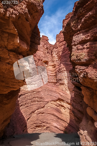 Image of Amphitheatro in Quebrada de las Conchas, Salta, Argentina