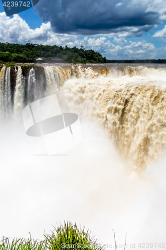 Image of iguazu falls