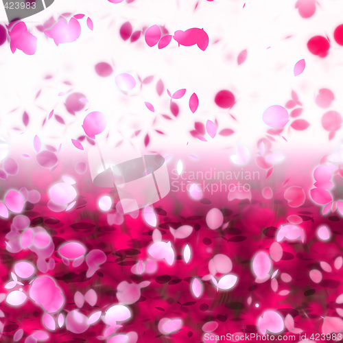 Image of Cherry blossoms