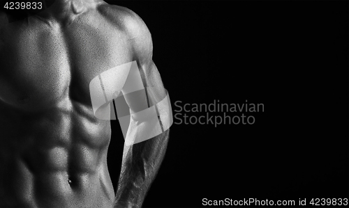 Image of The torso of attractive male body builder on black background.