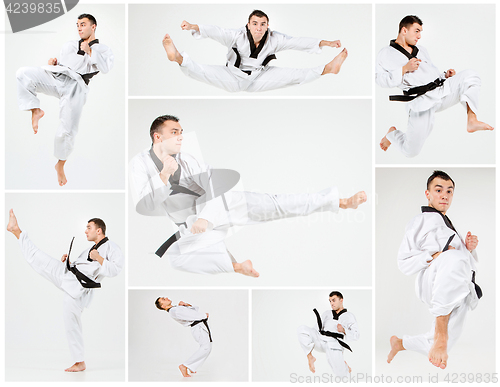 Image of The karate man with black belt training karate