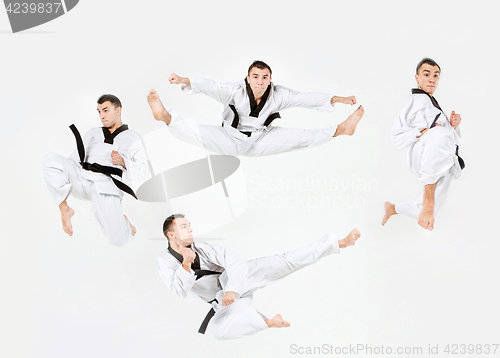 Image of The karate man with black belt training karate