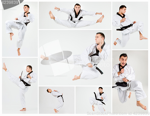 Image of The karate man with black belt training karate