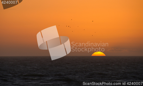 Image of Sunset and Gulls