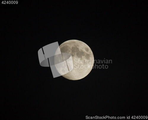 Image of 