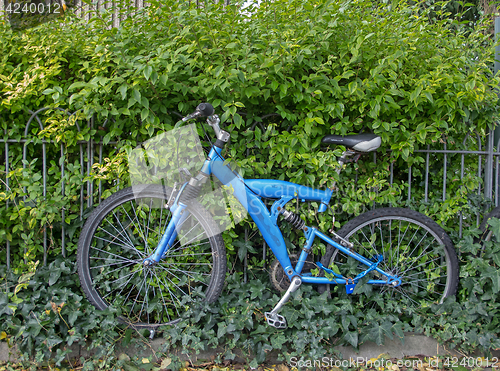 Image of Bicycle With Ivy
