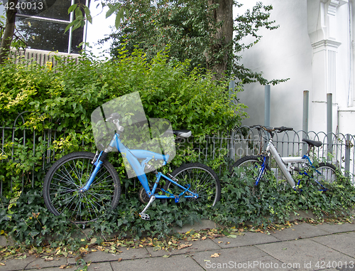 Image of Bicycles and Ivy