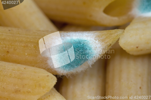 Image of Mould on Pasta