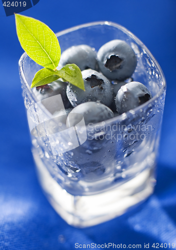 Image of blueberry