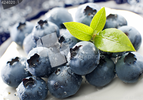 Image of blueberry