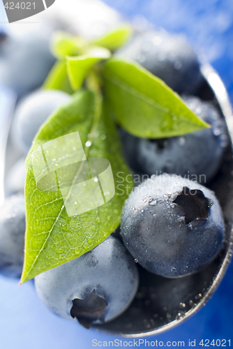 Image of blueberry