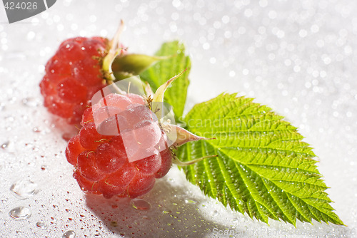 Image of raspberry