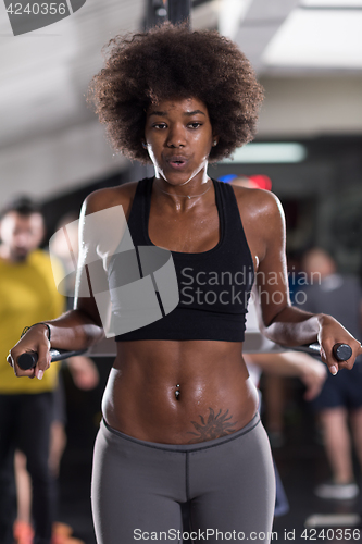 Image of black woman doing parallel bars Exercise