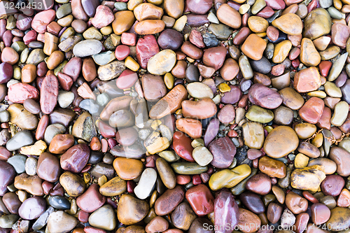 Image of Smooth Rocks Lake McDonald Glacier National Park Montana