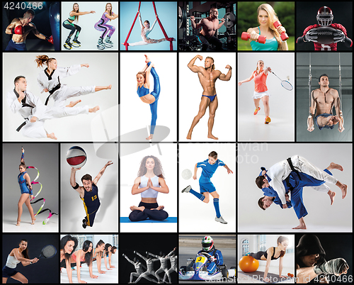 Image of Collage about different kind of sports