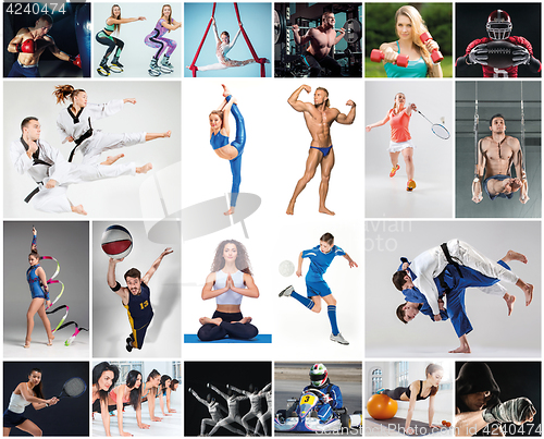 Image of Collage about different kind of sports