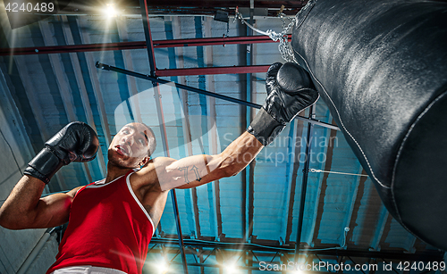 Image of Afro american male boxer.