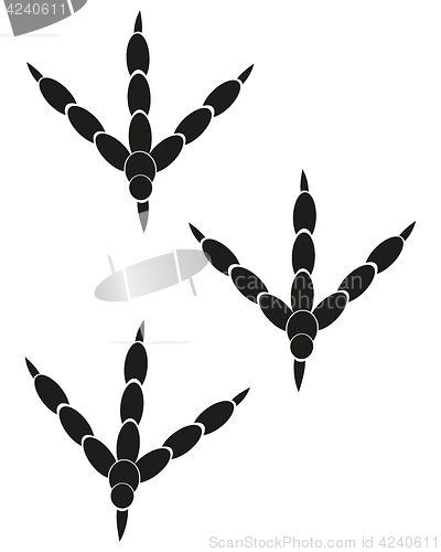 Image of Imprint of the trace of the bird