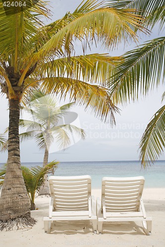 Image of Tropical Beach Scene