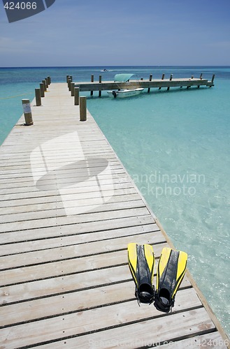 Image of Tropical Beach Scene