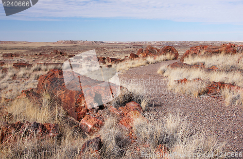 Image of Petrified-Forest-National-Park, Arizona, USA