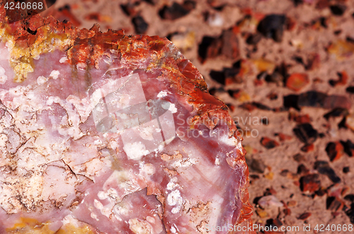 Image of Petrified-Forest-National-Park, Arizona, USA