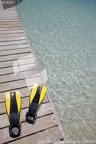 Image of Flippers on a Jetty