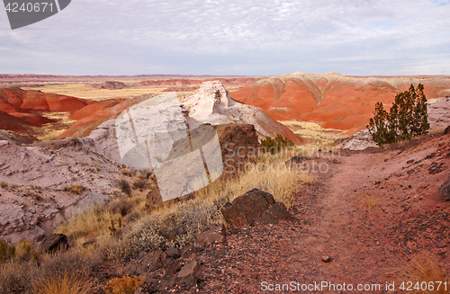 Image of Petrified-Forest-National-Park, Arizona, USA