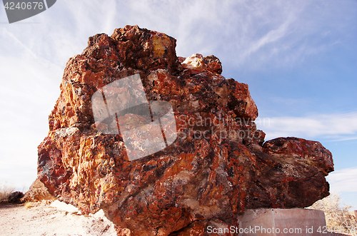 Image of Petrified-Forest-National-Park, Arizona, USA