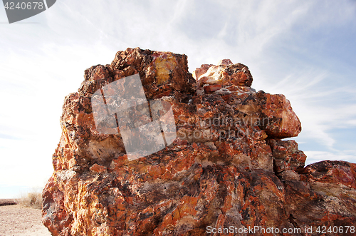 Image of Petrified-Forest-National-Park, Arizona, USA