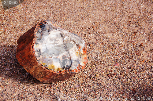 Image of Petrified-Forest-National-Park, Arizona, USA