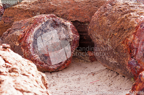 Image of Petrified-Forest-National-Park, Arizona, USA