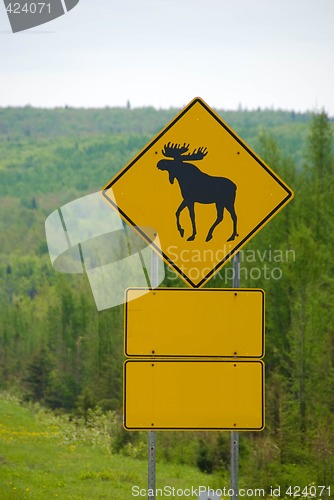 Image of Moose Crossing