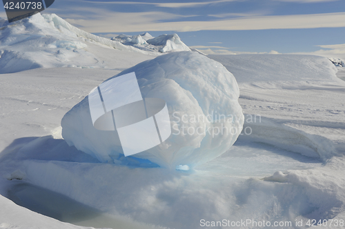 Image of Beautiful view of icebergs in Snow Hill Antarctica